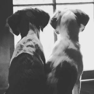 Meet your Posher, Leigh